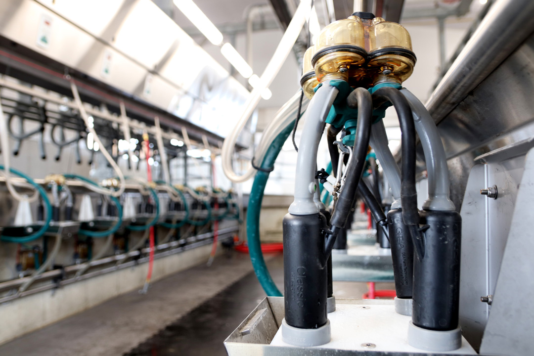 SML Farms Dairy Lane Systems Milking Parlour